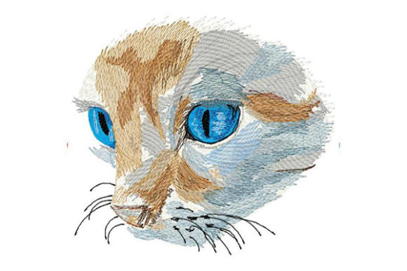 Cat with Deep Blue Eyes