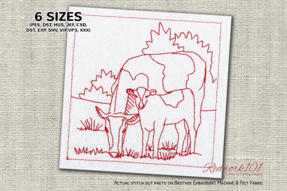 Cow with Calf in the Field